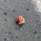 Ilustración para el artículo titulado Una hamburguesa de In-N-Out aparece a 2500 km de la hamburguesería más cercana: Internet ha resuelto el misterio
